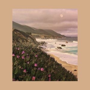 Meet your Posher, Amelia